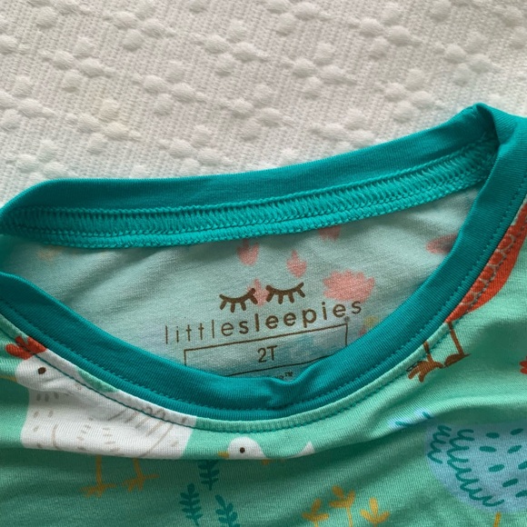 NWOT Little Sleepies Cozy Coop 2T Pajamas - Picture 4 of 4
